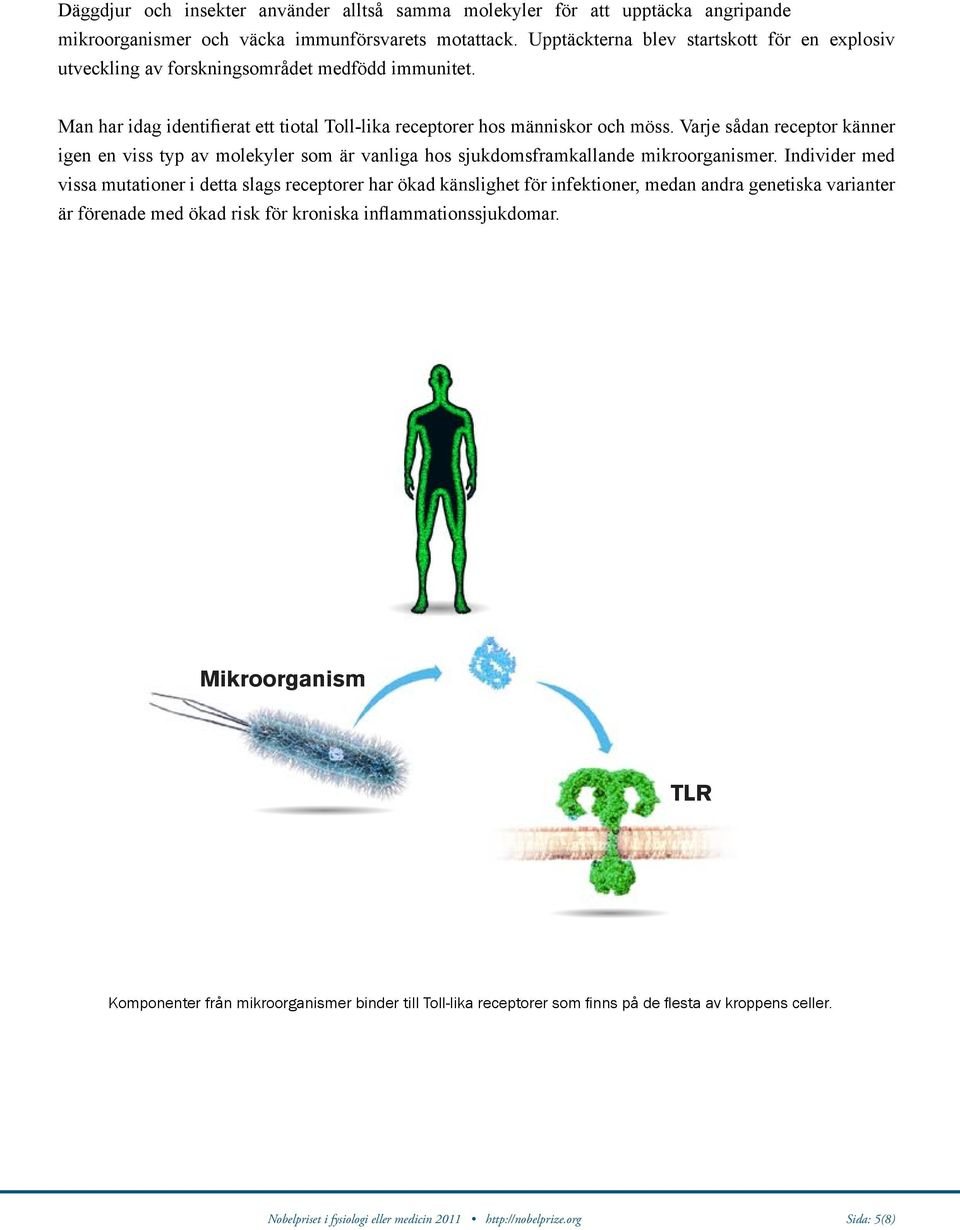 Varje sådan receptor känner Immunsystemet igen en viss typ av molekyler som är vanliga hos sjukdomsframkallande mikroorganismer.