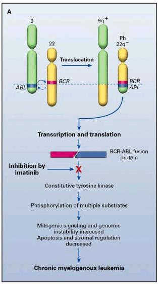 Genfusionen