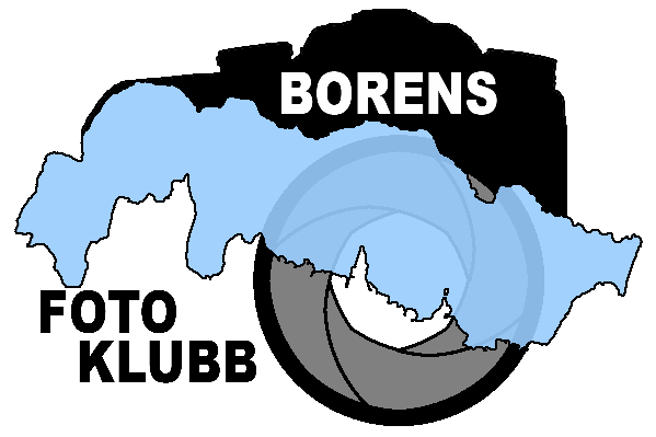 Borens Fotoklubb som är en sammanslagning av Motala och Borensbergs Fotoklubbar har lanserat 1st Borens International Exhibition of Mobile Photographic Documentary 2011.