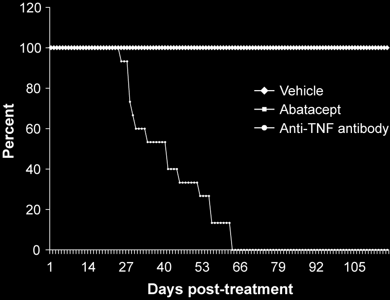 Abatacept Does Not Induce Reactivation in a Murine Model for Chronic Tuberculosis All abatacept-treated, as well as vehicle-control, mice survived to week 16.