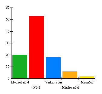 3. Är du nöjd med skolmaten?