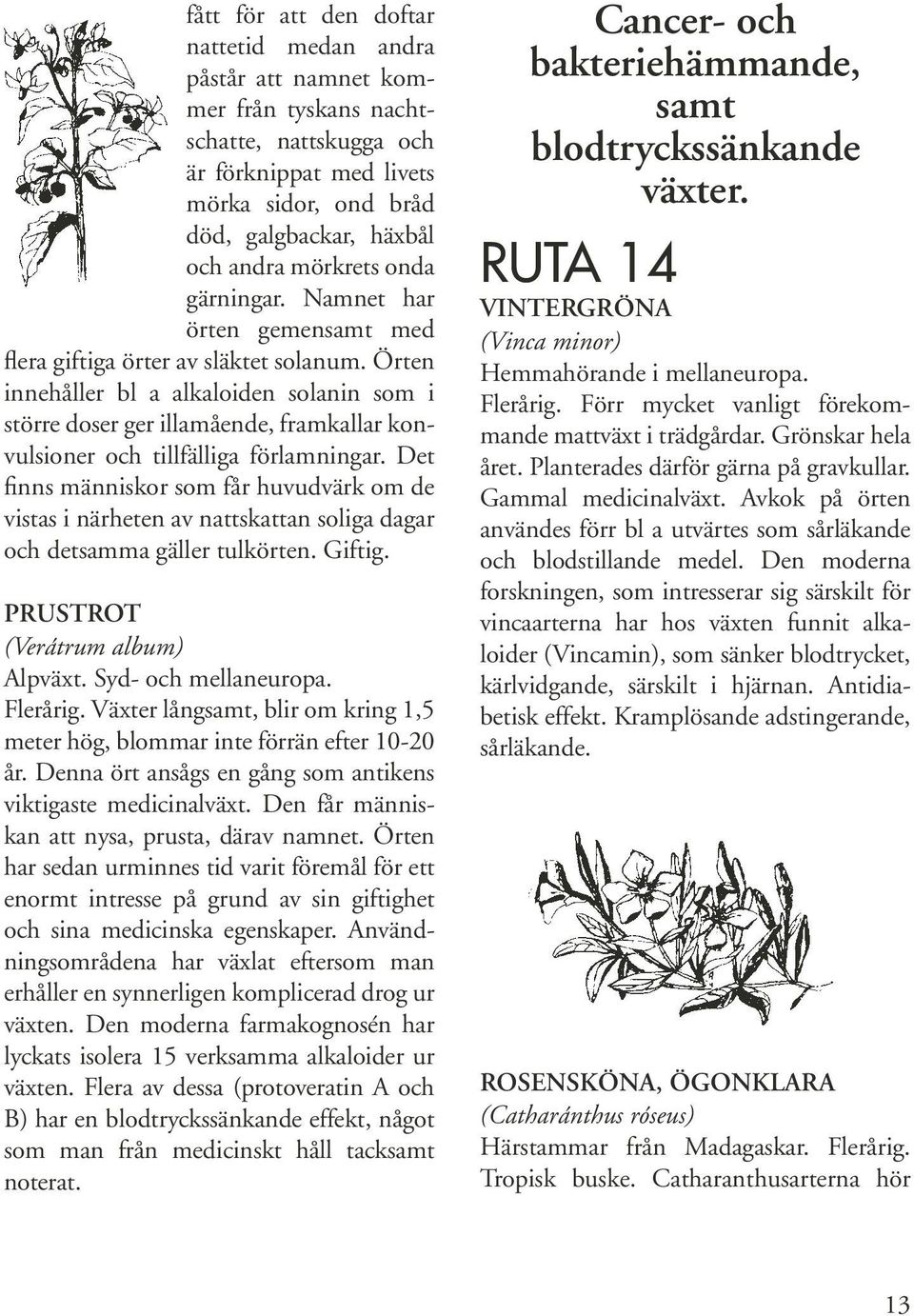 Örten innehåller bl a alkaloiden solanin som i större doser ger illamående, framkallar konvulsioner och tillfälliga förlamningar.