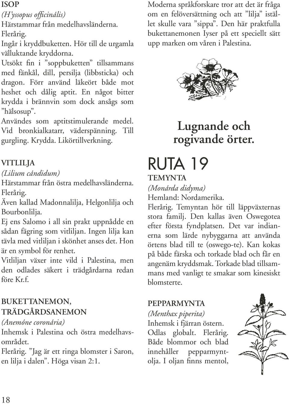 En något bitter krydda i brännvin som dock ansågs som hälsosup. Användes som aptitstimulerande medel. Vid bronkialkatarr, väderspänning. Till gurgling. Krydda. Likörtillverkning.