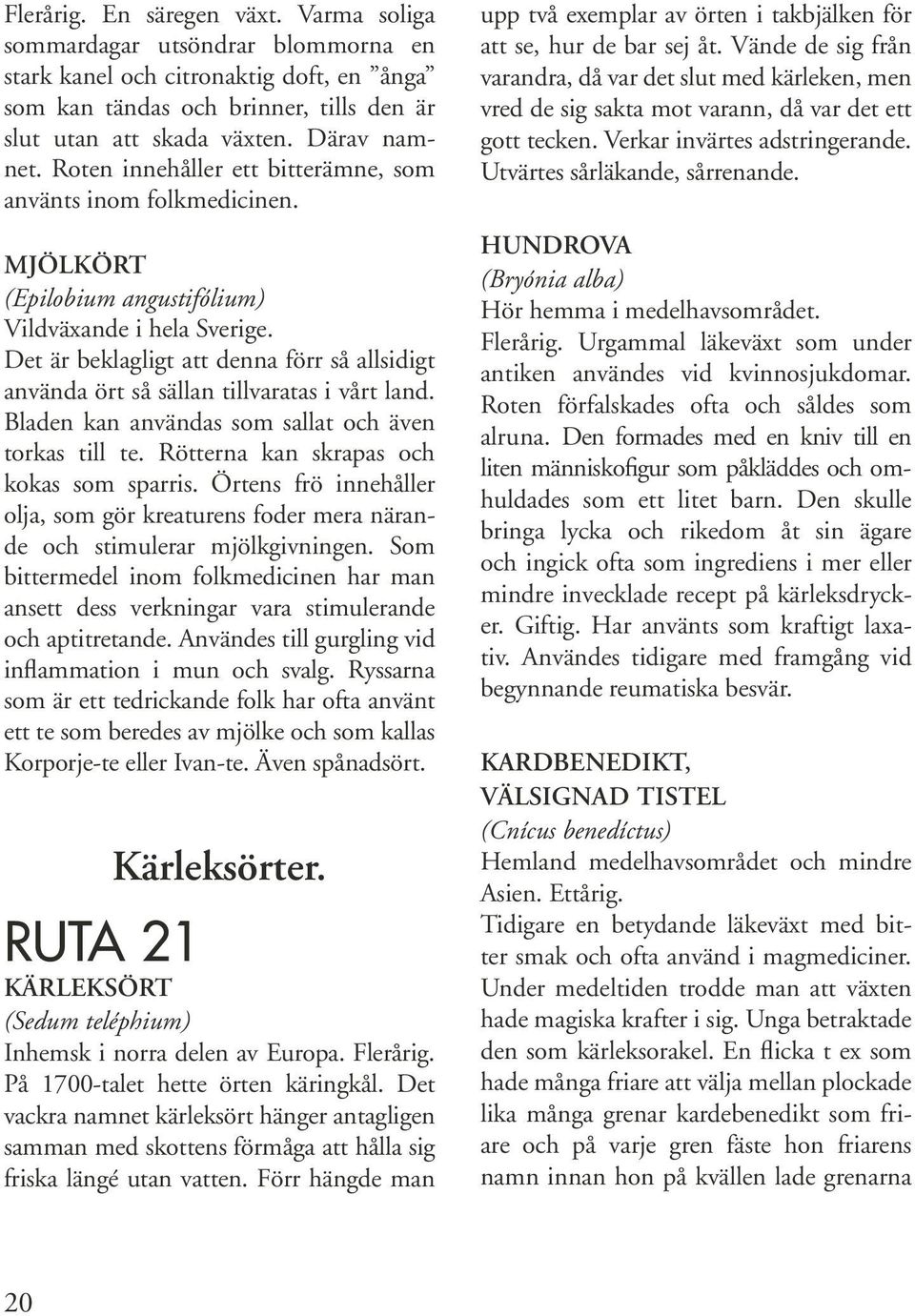 Det är beklagligt att denna förr så allsidigt använda ört så sällan tillvaratas i vårt land. Bladen kan användas som sallat och även torkas till te. Rötterna kan skrapas och kokas som sparris.