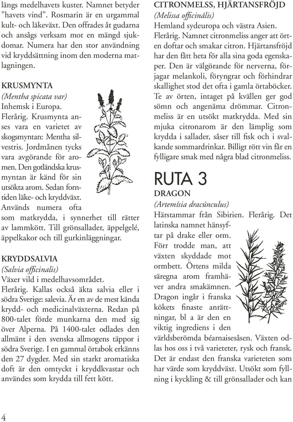 Jordmånen tycks vara avgörande för aromen. Den gotländska krus myntan är känd för sin utsökta arom. Sedan forn tiden läke- och kryddväxt.