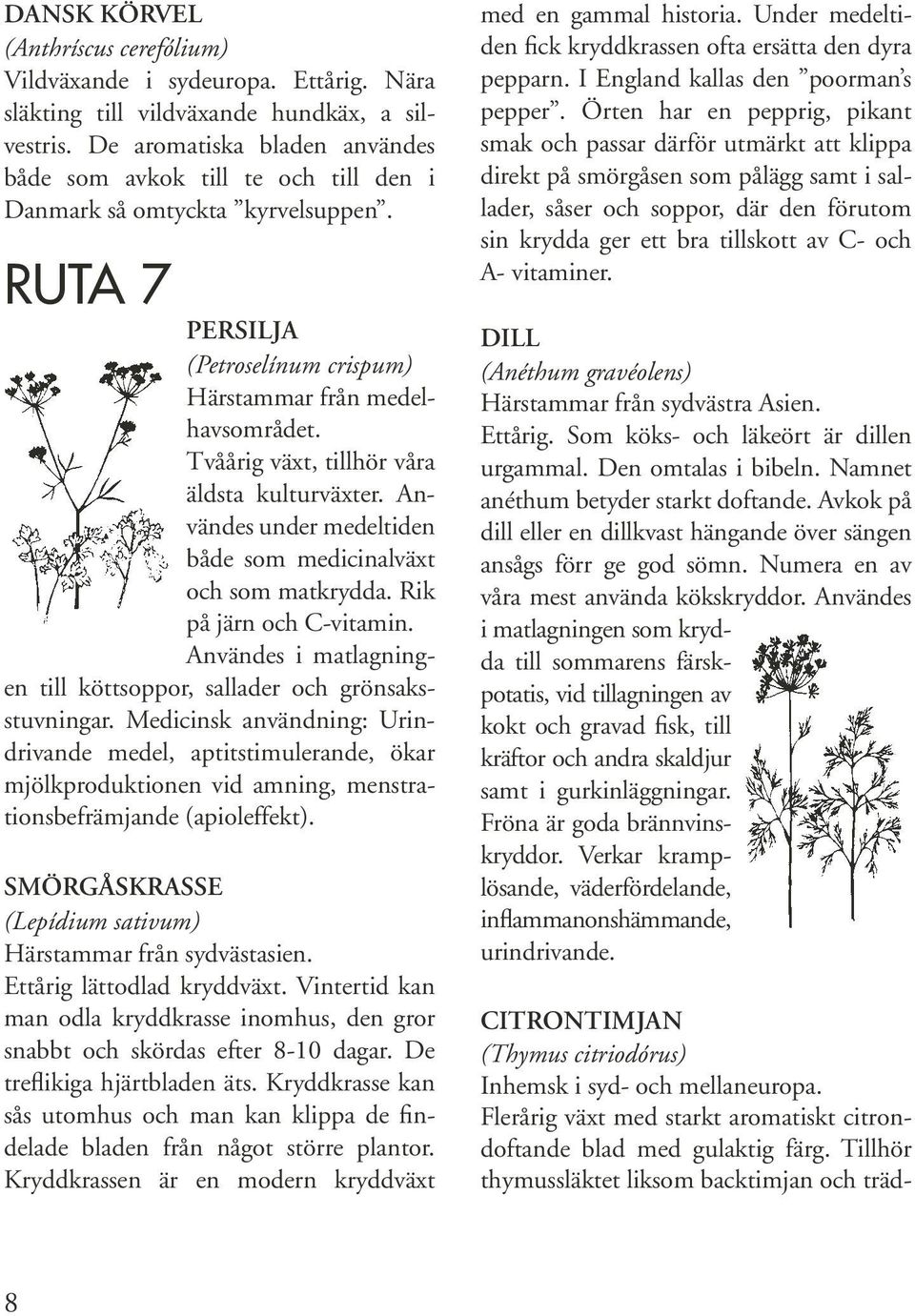 Tvåårig växt, tillhör våra äldsta kulturväxter. Användes under medeltiden både som medicinalväxt och som matkrydda. Rik på järn och C-vitamin.