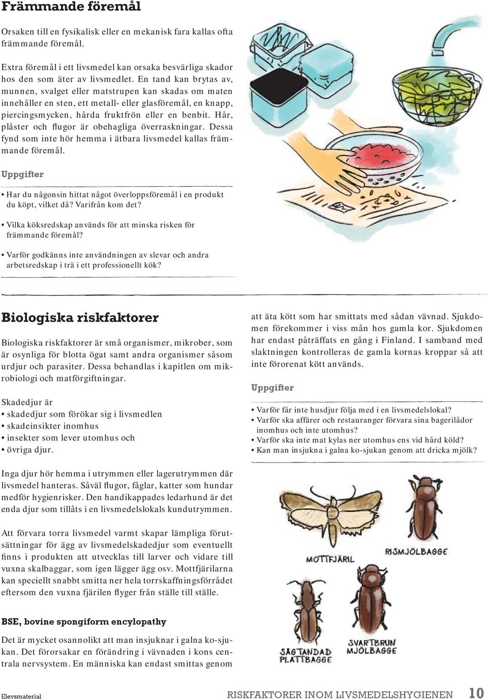 Hår, plåster och flugor är obehagliga överraskningar. Dessa fynd som inte hör hemma i ätbara livsmedel kallas främmande föremål.