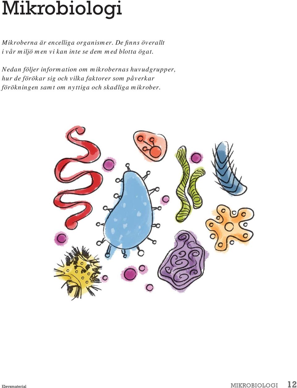 Nedan följer information om mikrobernas huvudgrupper, hur de förökar sig