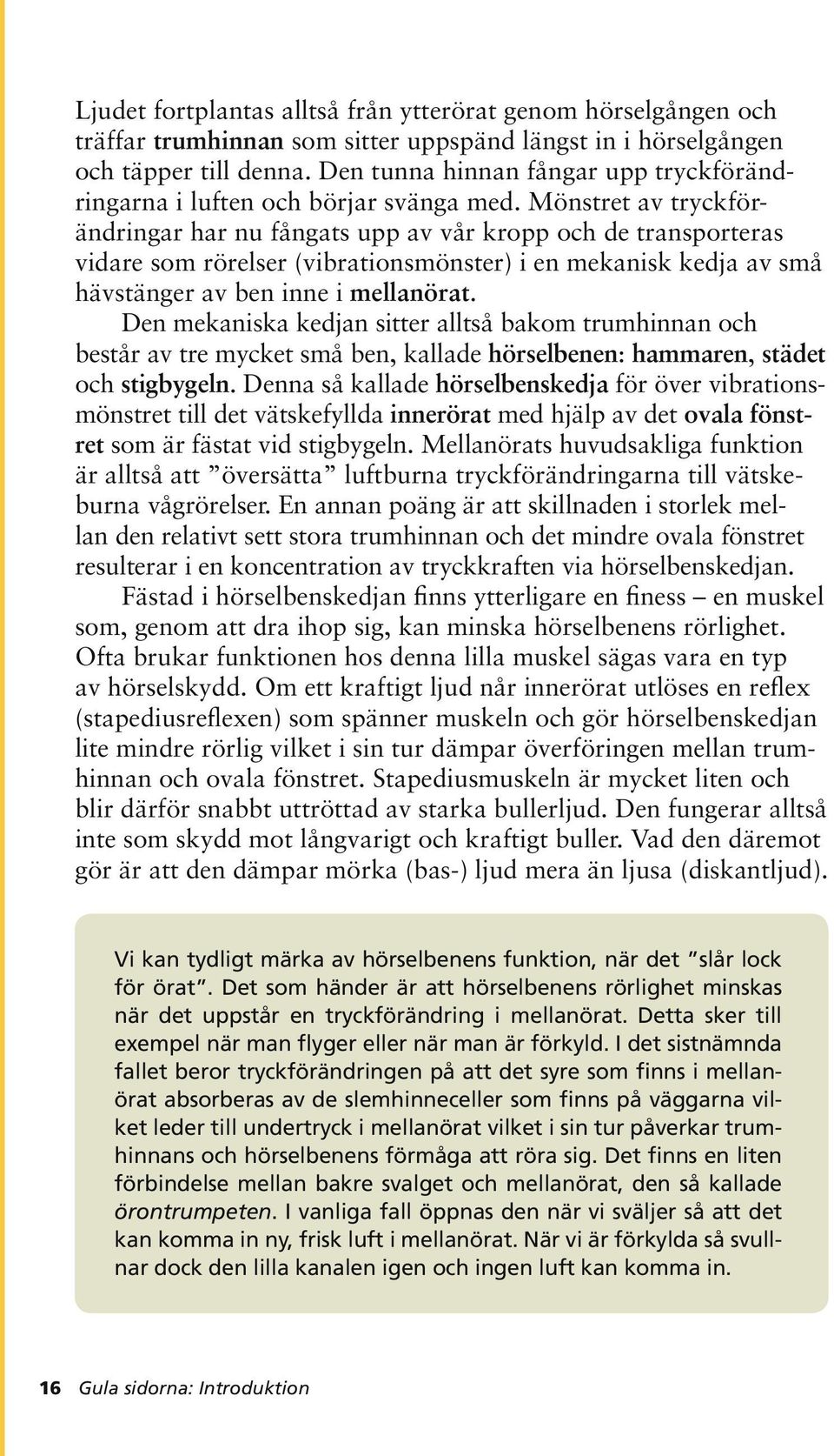 Mönstret av tryckförändringar har nu fångats upp av vår kropp och de transporteras vidare som rörelser (vibrationsmönster) i en mekanisk kedja av små hävstänger av ben inne i mellanörat.