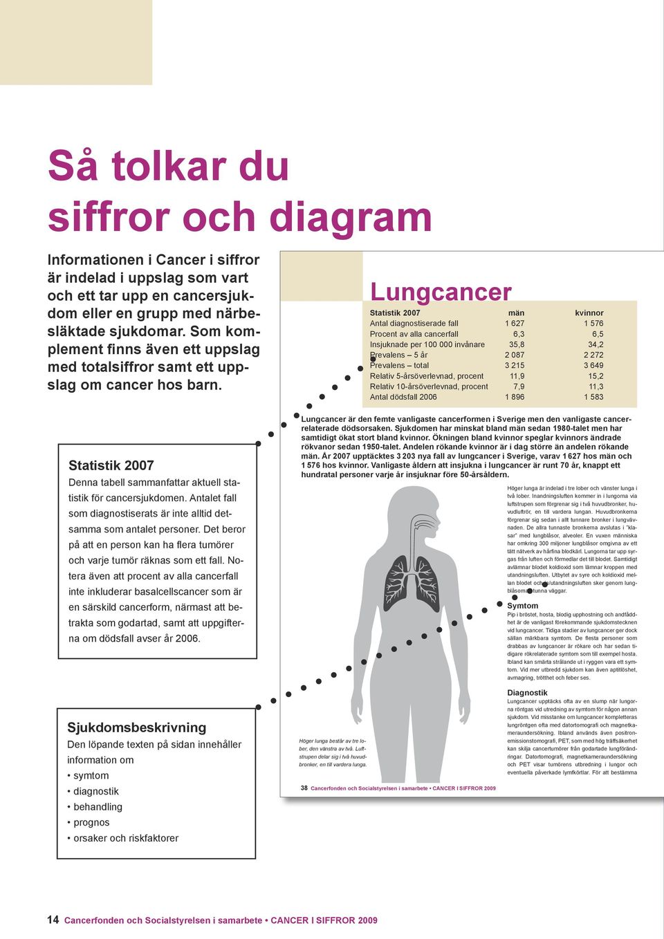 Lungcancer Statistik 27 män kvinnor Antal diagnostiserade fall 1 627 1 576 Procent av alla cancerfall 6,3 6,5 Insjuknade per 1 invånare 35,8 34,2 Prevalens 5 år 2 87 2 272 Prevalens total 3 215 3 649