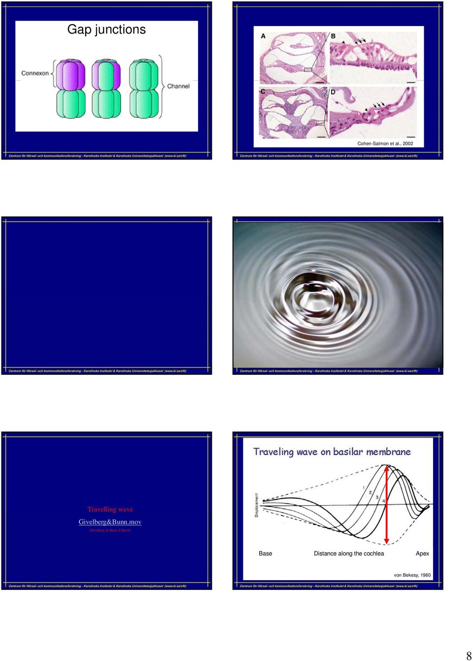 mov (Givelberg & Bunn, Caltech) Base