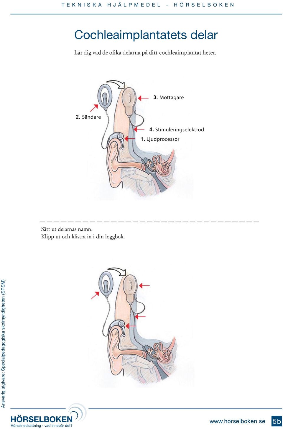 Mottagare 2. Sändare 4. Stimuleringselektrod 1.