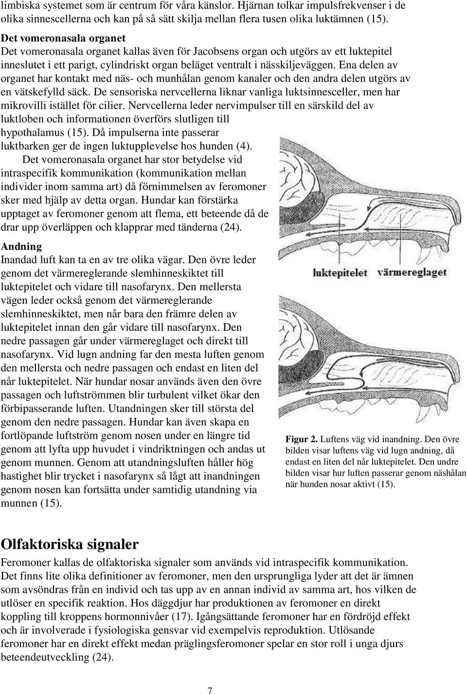 Ena delen av organet har kontakt med näs- och munhålan genom kanaler och den andra delen utgörs av en vätskefylld säck.