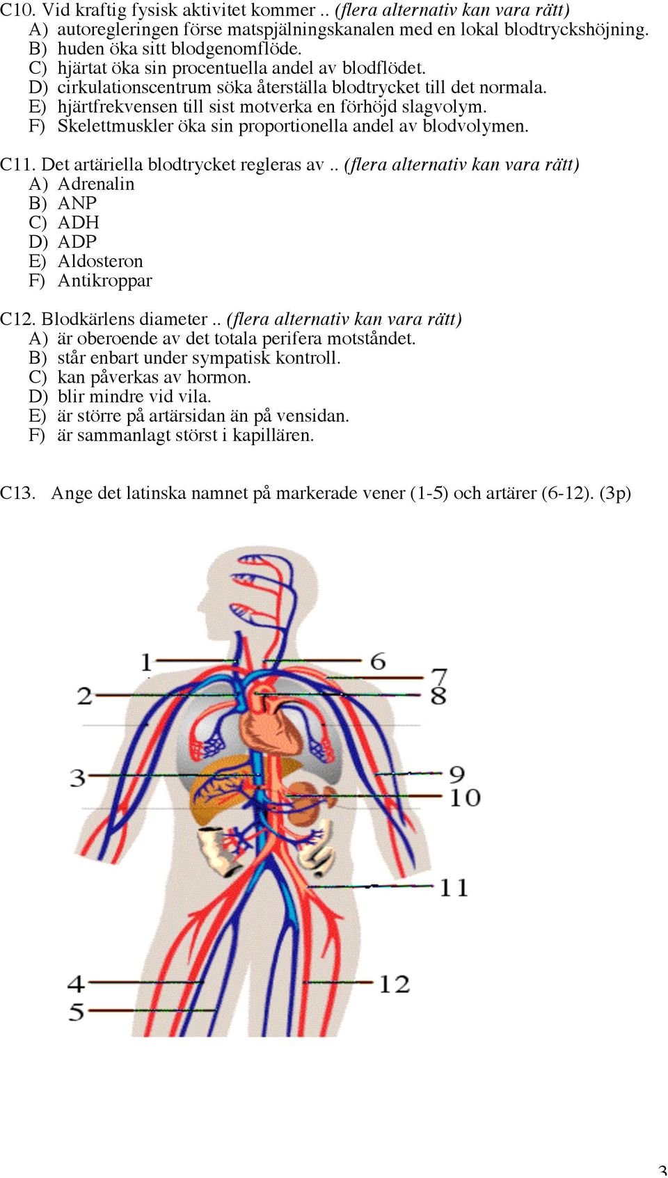 F) Skelettmuskler öka sin proportionella andel av blodvolymen. C11. Det artäriella blodtrycket regleras av.