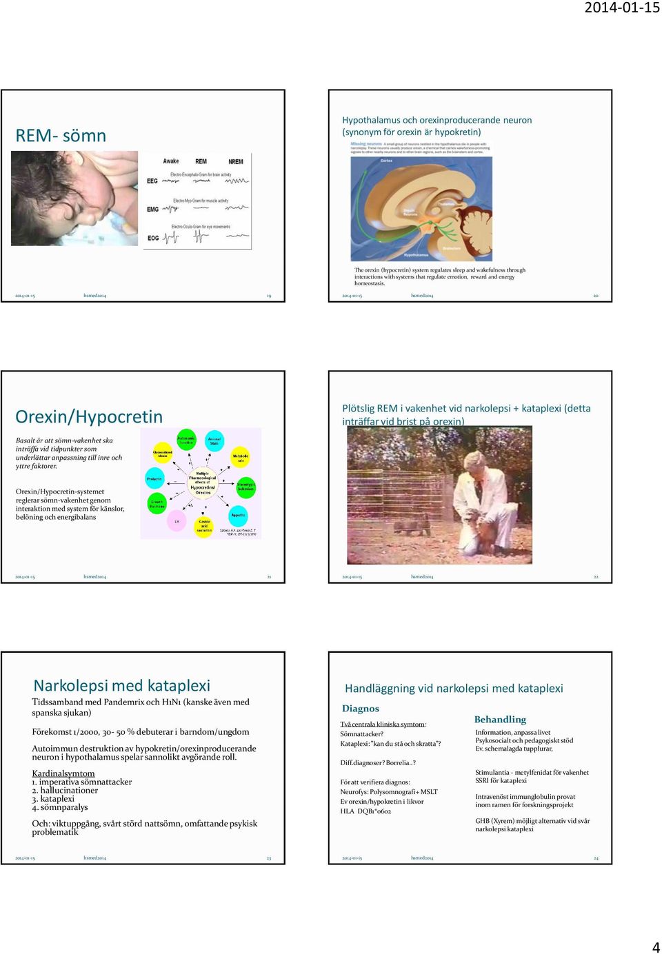2014-01-15 hsmed2014 19 2014-01-15 hsmed2014 20 Orexin/Hypocretin Plötslig REM i vakenhet vid narkolepsi + kataplexi (detta inträffar vid brist på orexin) Basalt är att sömn-vakenhet ska inträffa vid