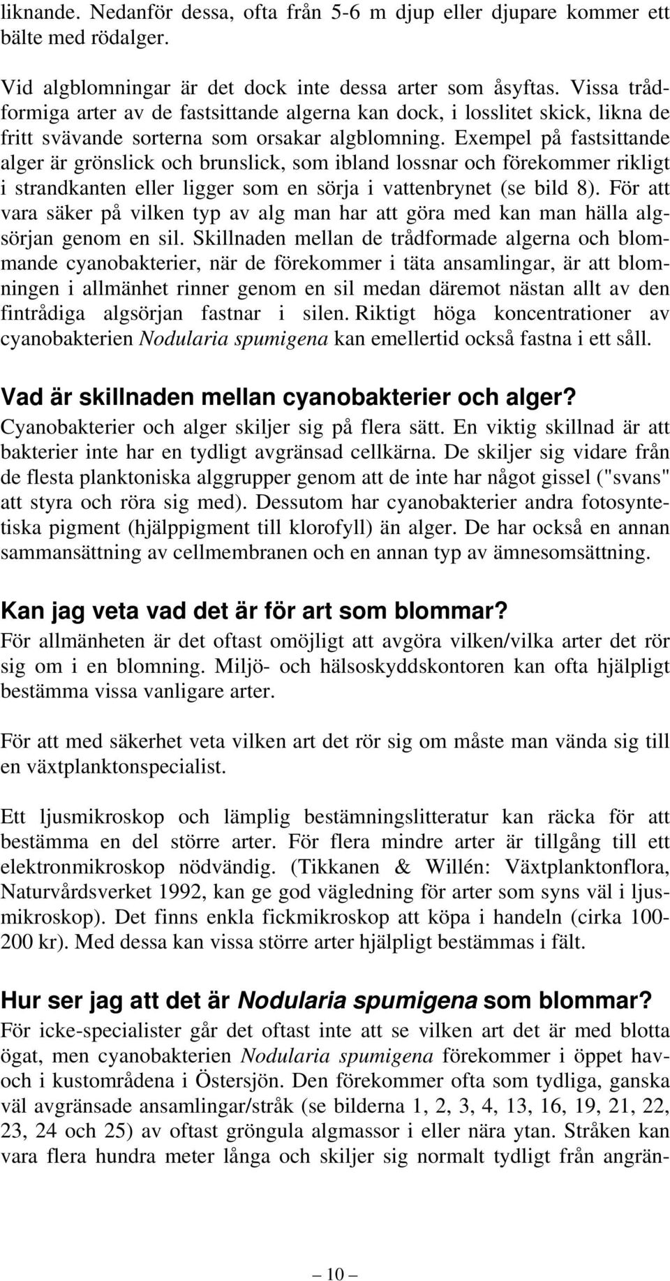 Exempel på fastsittande alger är grönslick och brunslick, som ibland lossnar och förekommer rikligt i strandkanten eller ligger som en sörja i vattenbrynet (se bild 8).