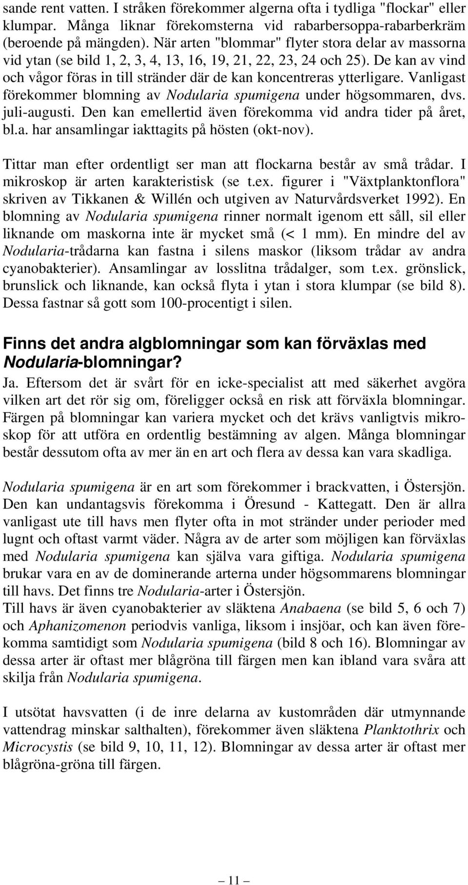 De kan av vind och vågor föras in till stränder där de kan koncentreras ytterligare. Vanligast förekommer blomning av Nodularia spumigena under högsommaren, dvs. juli-augusti.