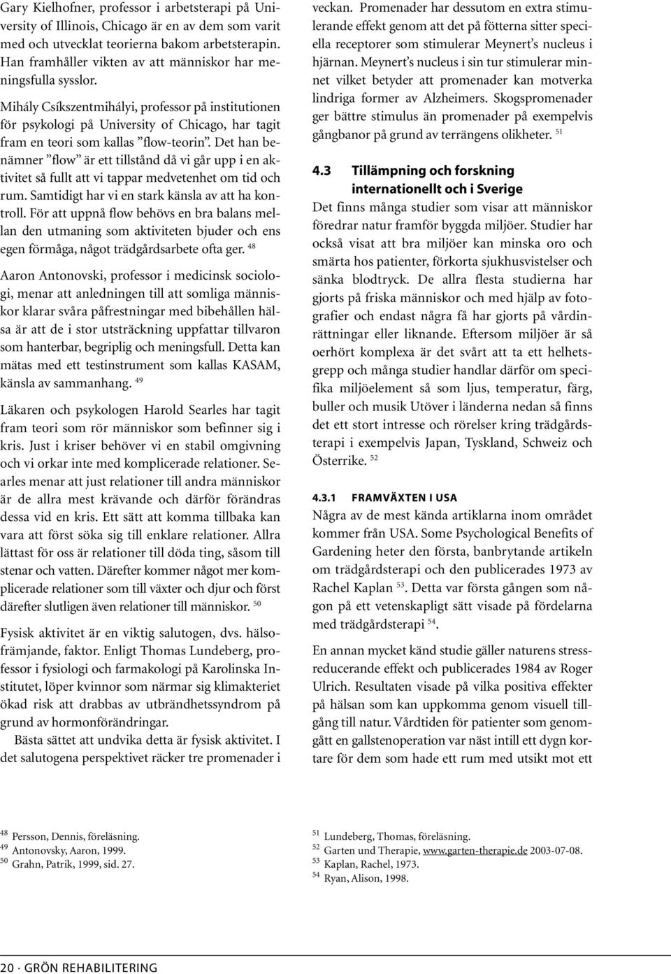 Mihály Csíkszentmihályi, professor på institutionen för psykologi på University of Chicago, har tagit fram en teori som kallas flow-teorin.