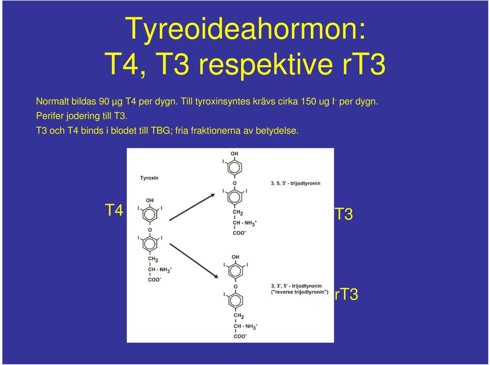 Till tyroxinsyntes krävs cirka 150 ug I - per dygn.