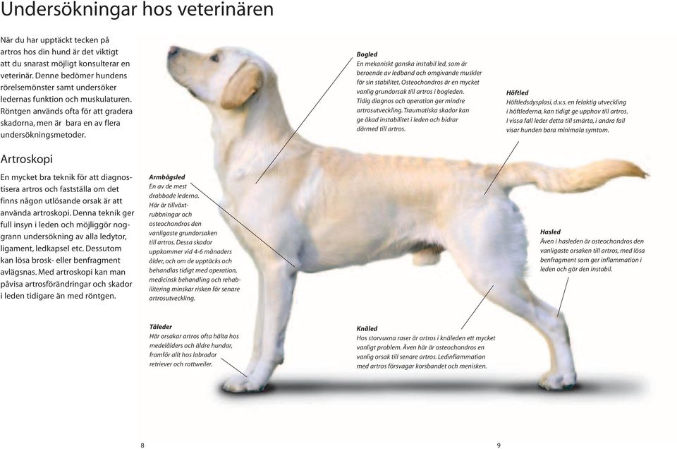 Bogled En mekaniskt ganska instabil led, som är beroende av ledband och omgivande muskler för sin stabilitet. Osteochondros är en mycket vanlig grundorsak till artros i bogleden.