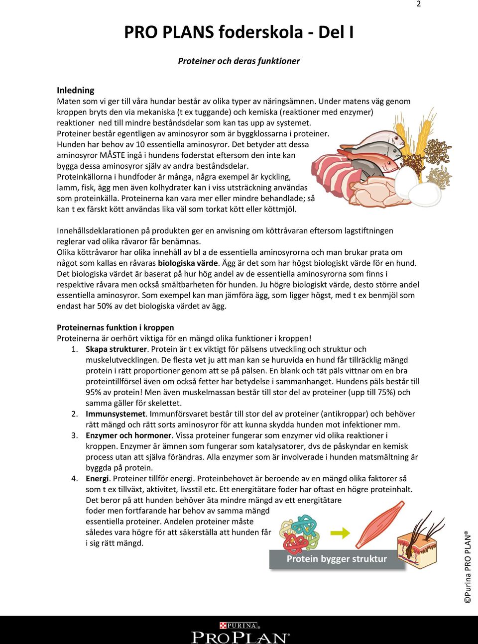 Proteiner består egentligen av aminosyror som är byggklossarna i proteiner. Hunden har behov av 10 essentiella aminosyror.