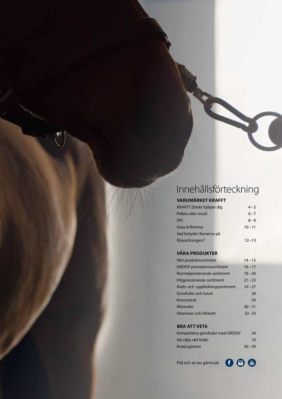 1 Våra produkter Vårt produktsortiment 1 1 GROOV prestationssortiment 16 17 Normalpresterande sortiment 1 0 Högpresterande