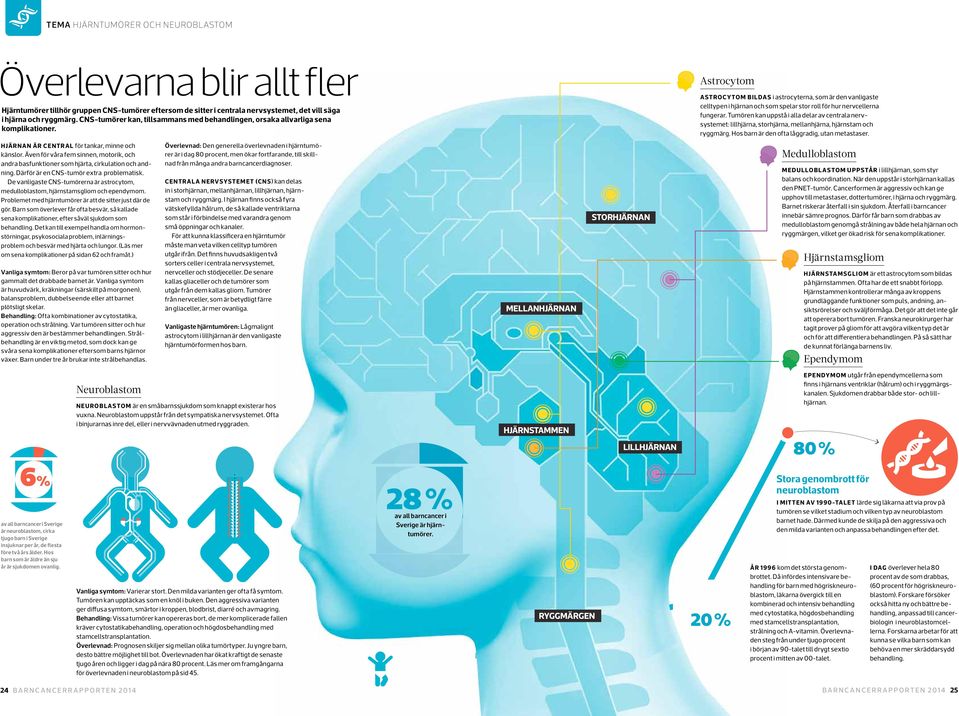 Astrocytom Astrocytom bildas i astrocyterna, som är den vanligaste celltypen i hjärnan och som spelar stor roll för hur nervcellerna fungerar.