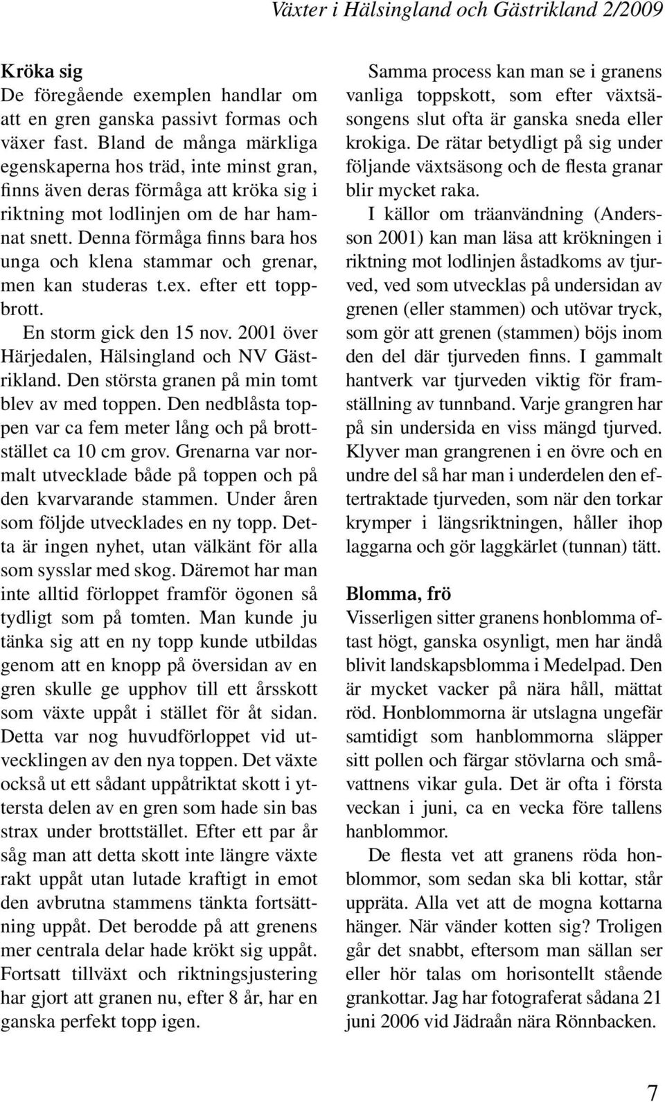 Denna förmåga finns bara hos unga och klena stammar och grenar, men kan studeras t.ex. efter ett toppbrott. En storm gick den 15 nov. 2001 över Härjedalen, Hälsingland och NV Gästrikland.