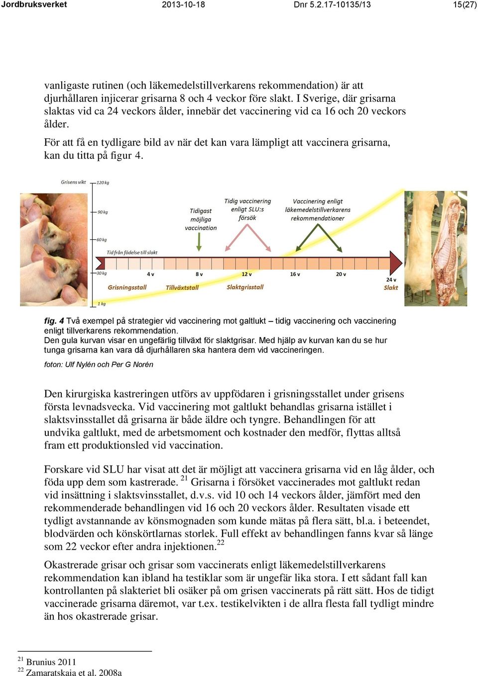 För att få en tydligare bild av när det kan vara lämpligt att vaccinera grisarna, kan du titta på figu