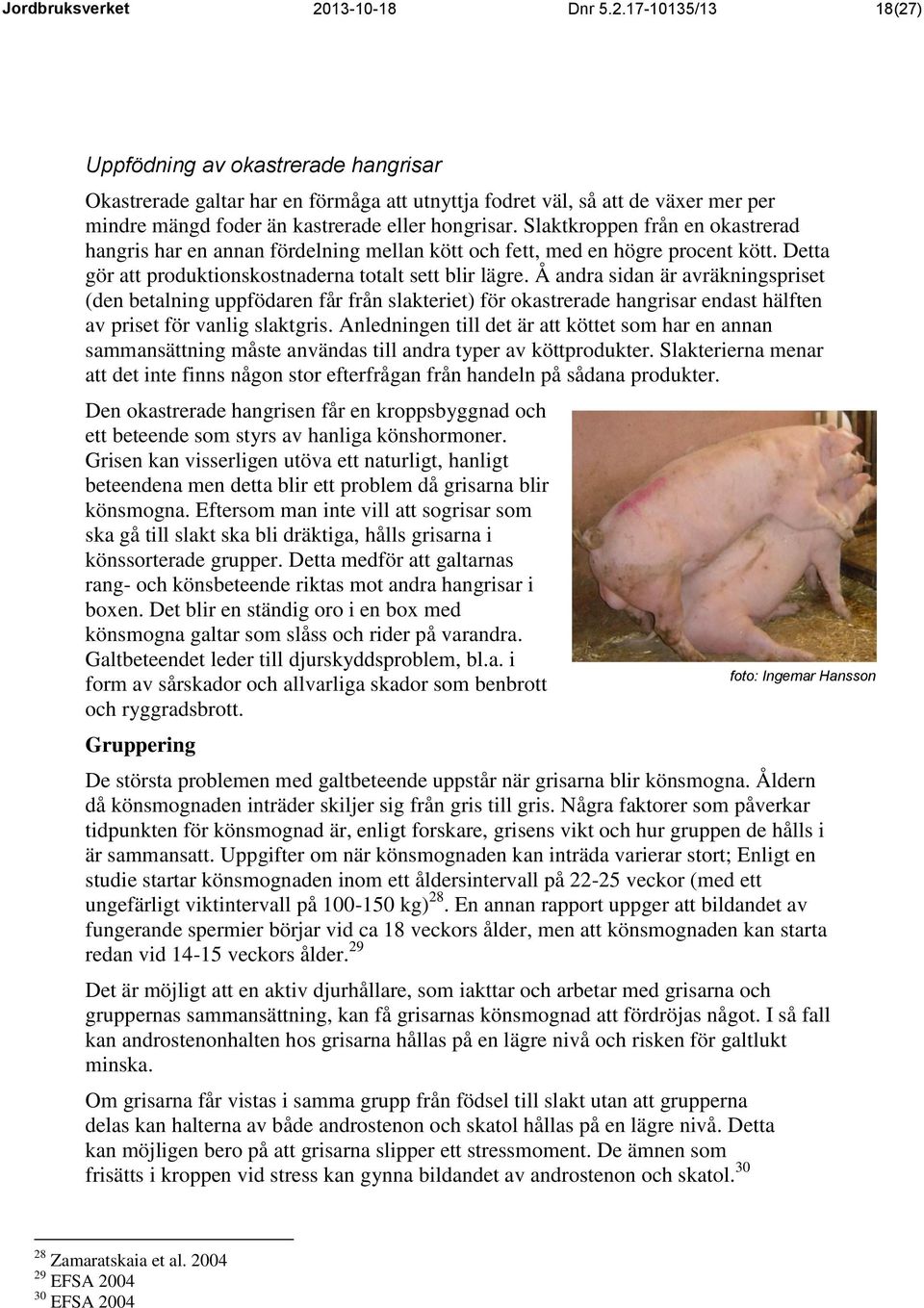 17-10135/13 18(27) Uppfödning av okastrerade hangrisar Okastrerade galtar har en förmåga att utnyttja fodret väl, så att de växer mer per mindre mängd foder än kastrerade eller hongrisar.