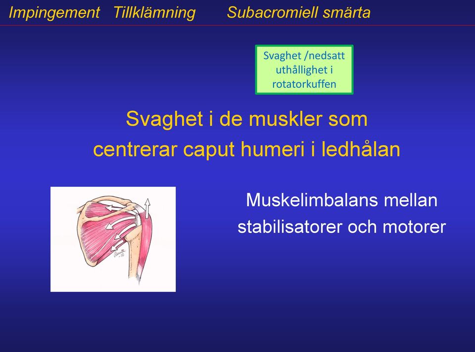 Svaghet i de muskler som centrerar caput humeri i