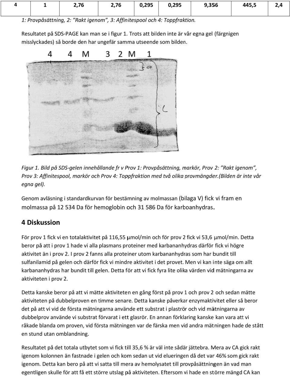 Bild på SDS gelen innehållande fr v Prov 1: Provpåsättning, markör, m Prov 2: Rakt igenom, Prov 3: Affinitespool, markör och Prov 4: Toppfraktion med två olika provmängdep er.