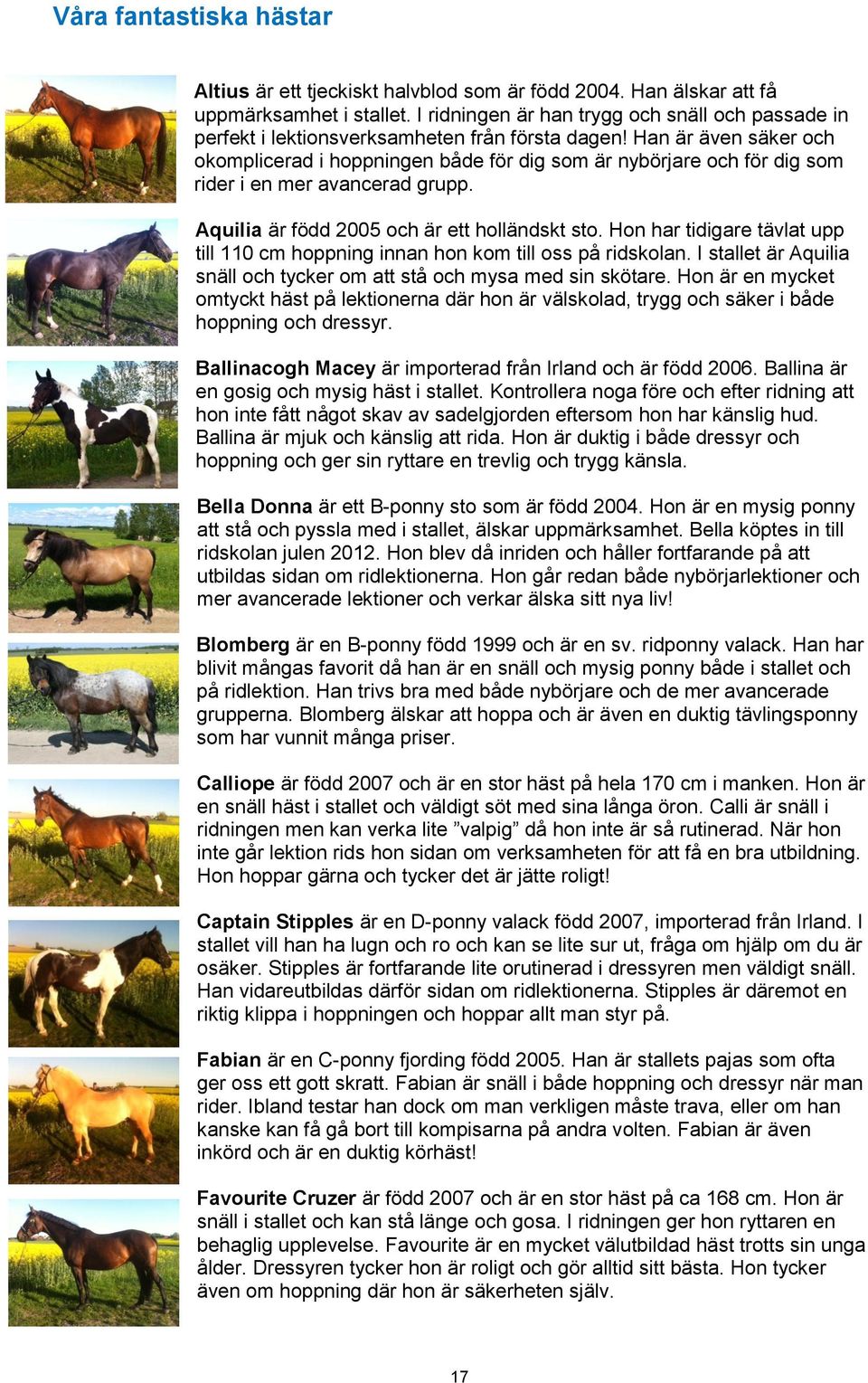 Han är även säker och okomplicerad i hoppningen både för dig som är nybörjare och för dig som rider i en mer avancerad grupp. Aquilia är född 2005 och är ett holländskt sto.