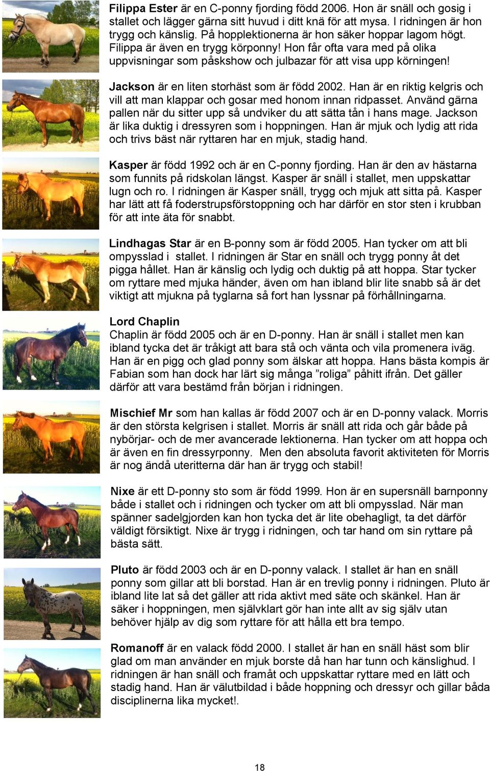 Jackson är en liten storhäst som är född 2002. Han är en riktig kelgris och vill att man klappar och gosar med honom innan ridpasset.