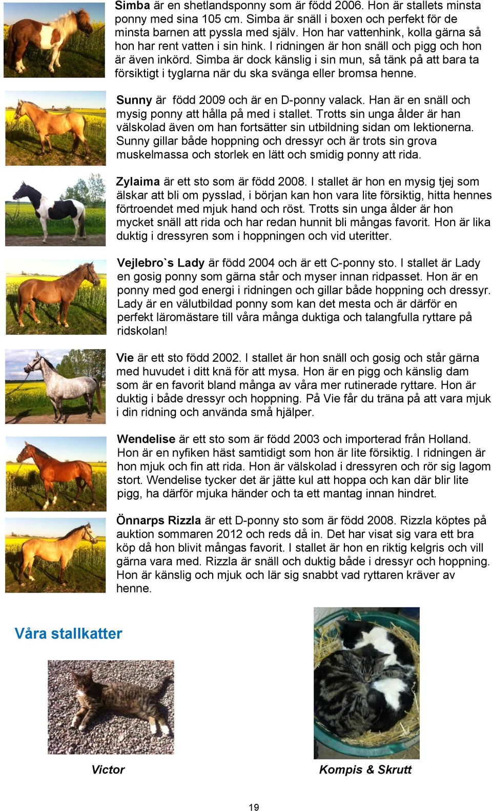 Simba är dock känslig i sin mun, så tänk på att bara ta försiktigt i tyglarna när du ska svänga eller bromsa henne. Sunny är född 2009 och är en D-ponny valack.