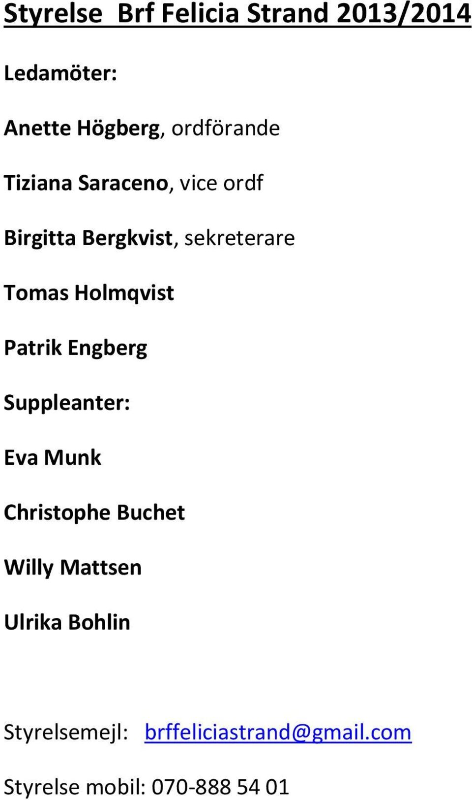 Patrik Engberg Suppleanter: Eva Munk Christophe Buchet Willy Mattsen Ulrika