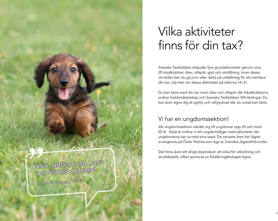 Du kan tävla med din tax inom drev och viltspår där lokalklubbarna ordnar klubbmästerskap och Svenska Taxklubben SM-tävlingar. Du kan även ägna dig åt agility och rallylydnad där du också kan tävla.