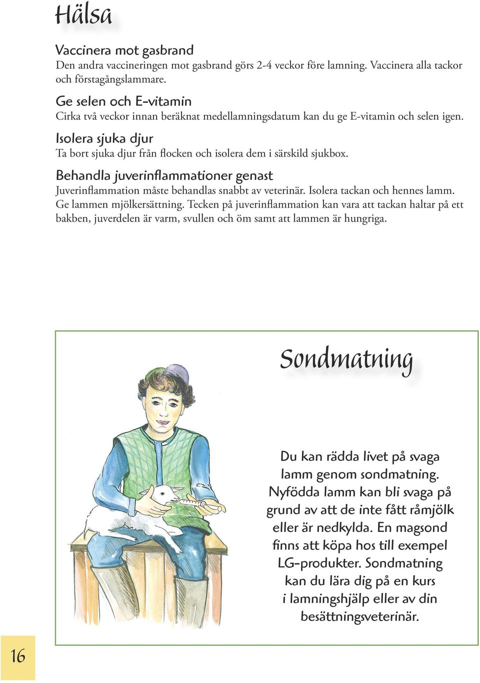 Behandla juverinflammationer genast Juverinflammation måste behandlas snabbt av veterinär. Isolera tackan och hennes lamm. Ge lammen mjölkersättning.