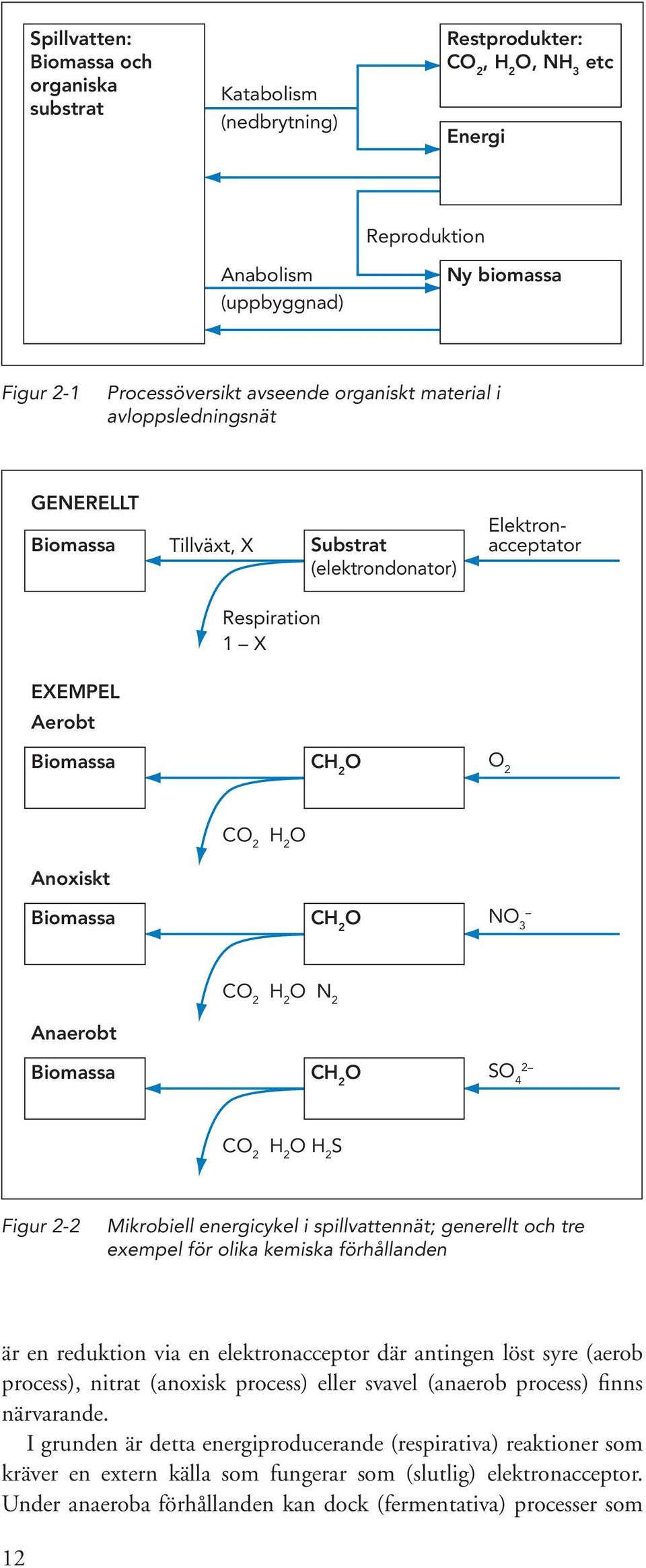 2 O NO 3 Anaerobt Biomassa CO 2 H 2 O N 2 CH 2 O SO 4 2 CO 2 H 2 O H 2 S Figur 2-2 Mikrobiell energicykel i spillvattennät; generellt och tre exempel för olika kemiska förhållanden är en reduktion
