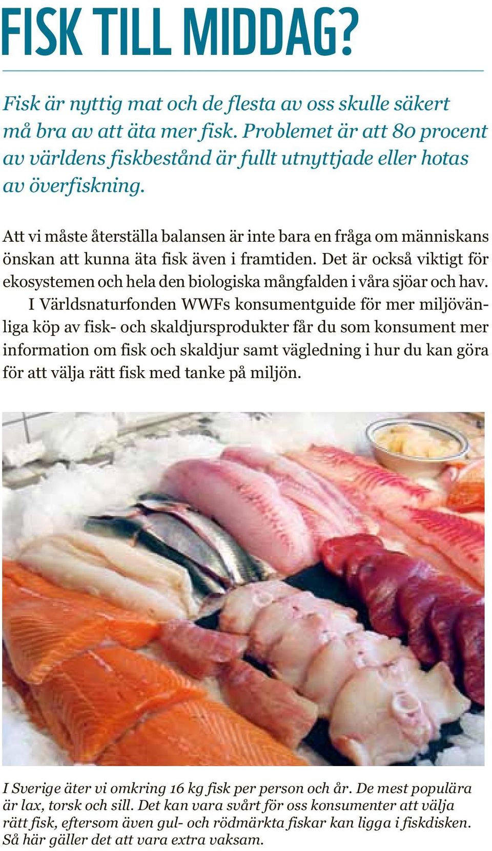 Att vi måste återställa balansen är inte bara en fråga om människans önskan att kunna äta fisk även i framtiden.