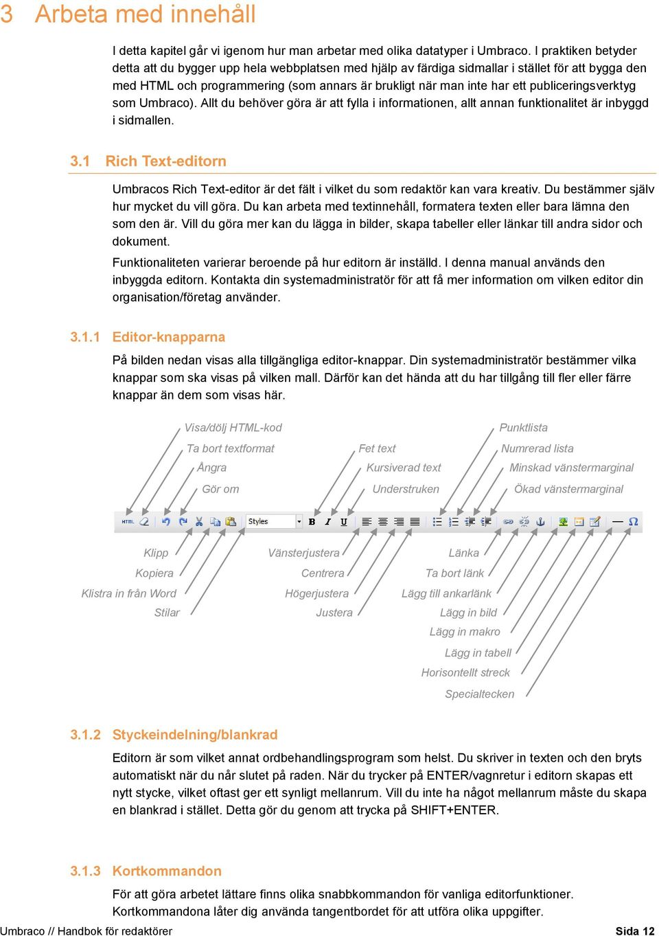 publiceringsverktyg som Umbraco). Allt du behöver göra är att fylla i informationen, allt annan funktionalitet är inbyggd i sidmallen. 3.