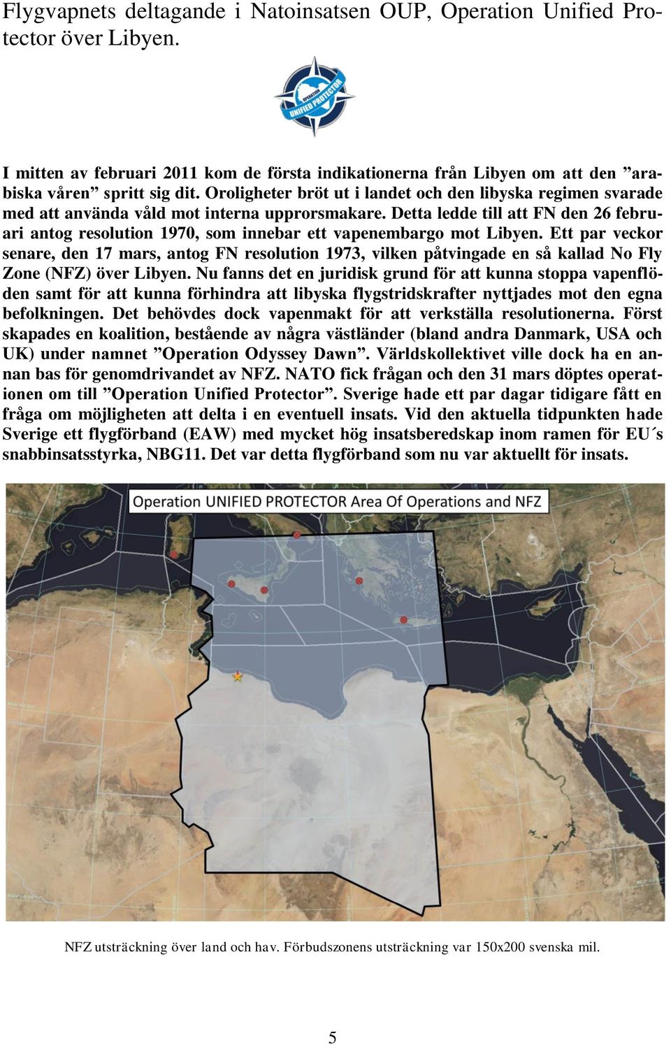 Detta ledde till att FN den 26 februari antog resolution 1970, som innebar ett vapenembargo mot Libyen.