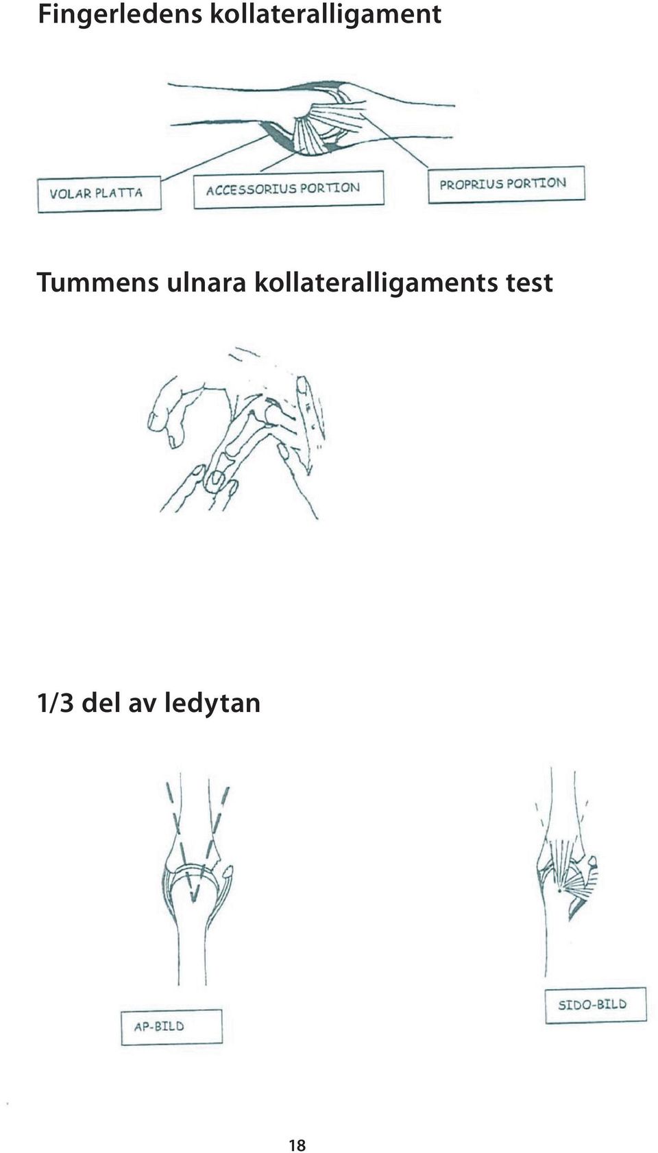 Tummens ulnara s test