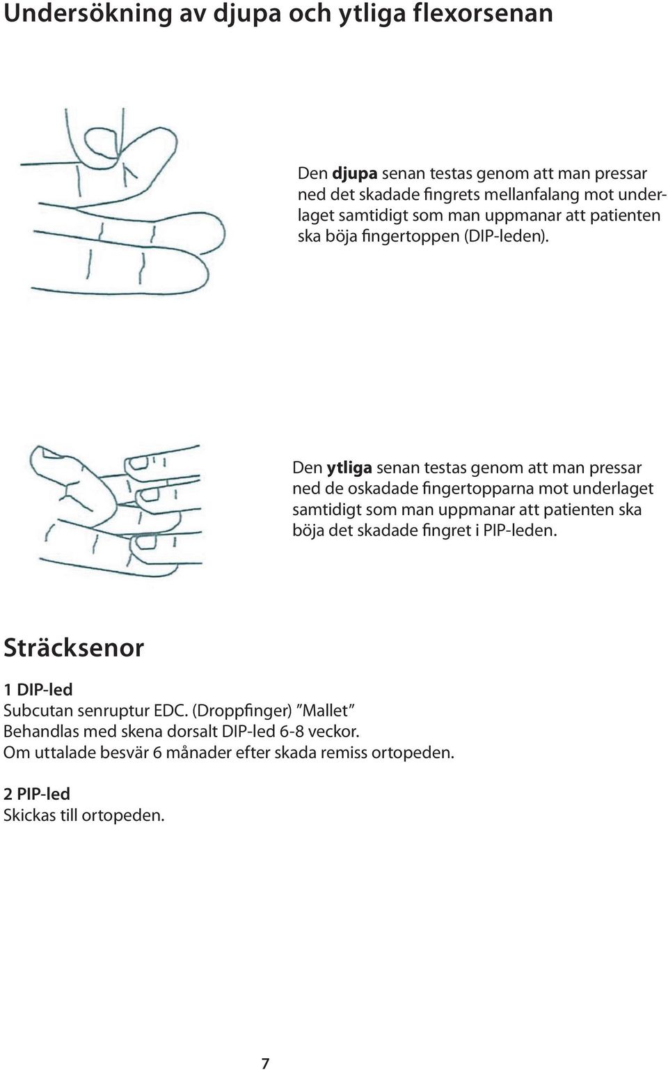 Den ytliga senan testas genom att man pressar ned de oskadade fingertopparna mot underlaget samtidigt som man uppmanar att patienten ska böja det