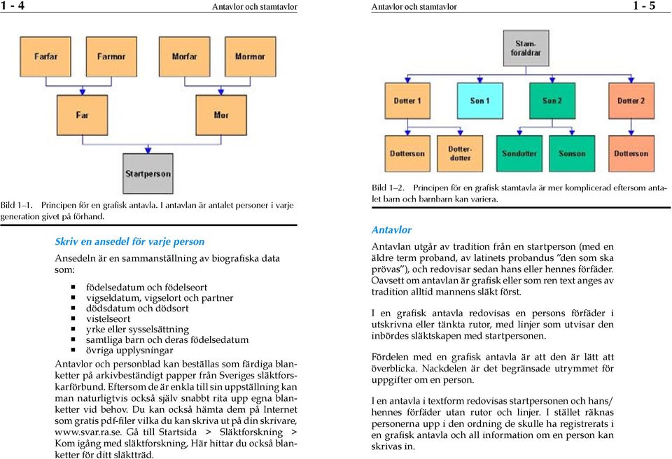 sysselsättning samtliga barn och deras födelsedatum övriga upplysningar Antavlor och personblad kan beställas som färdiga blanketter på arkivbeständigt papper från Sveriges släktforskarförbund.