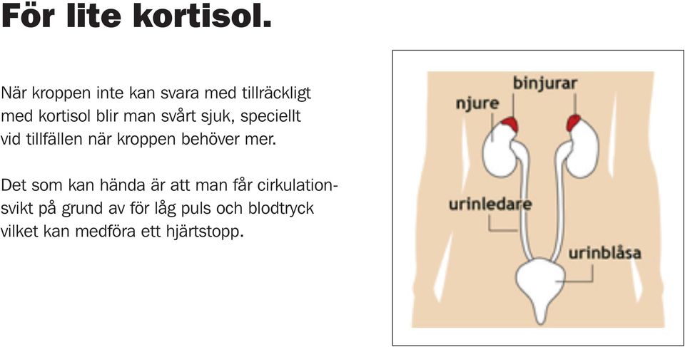 svårt sjuk, speciellt vid tillfällen när kroppen behöver mer.