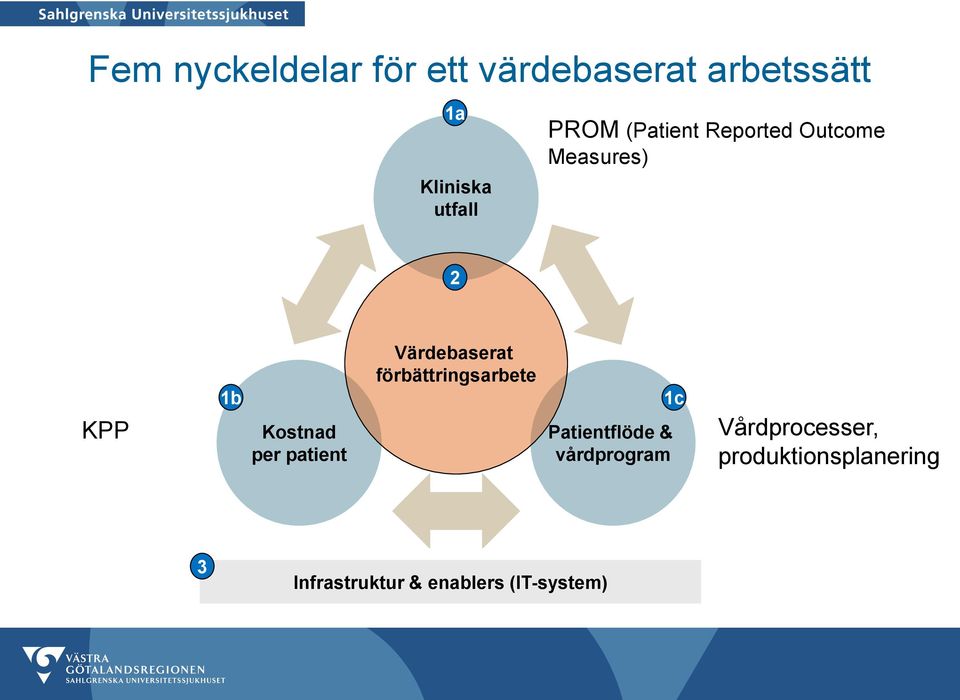 patient Värdebaserat förbättringsarbete Patientflöde & vårdprogram