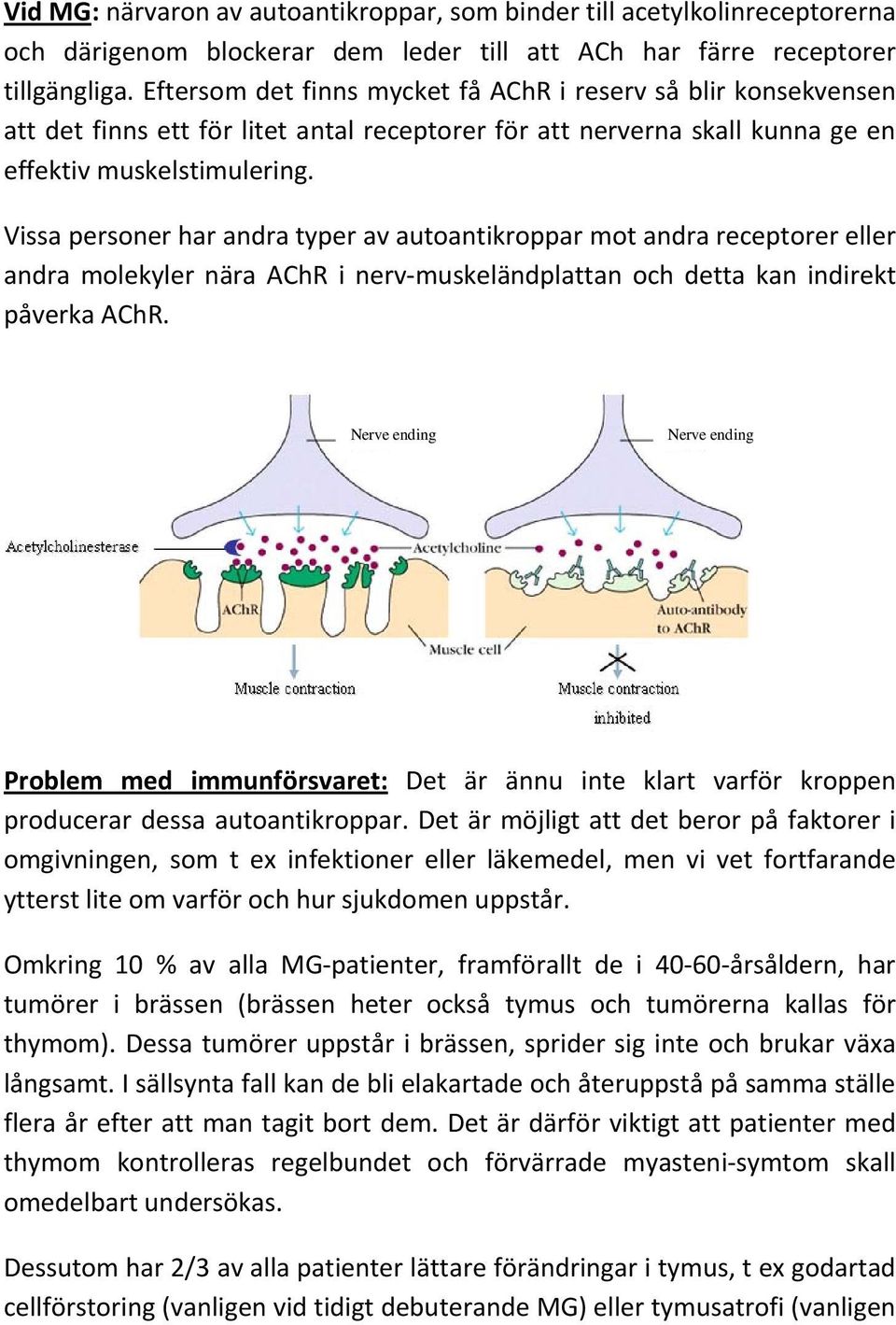 Vissa personer har andra typer av autoantikroppar mot andra receptorer eller andra molekyler nära AChR i nerv muskeländplattan och detta kan indirekt påverka AChR.