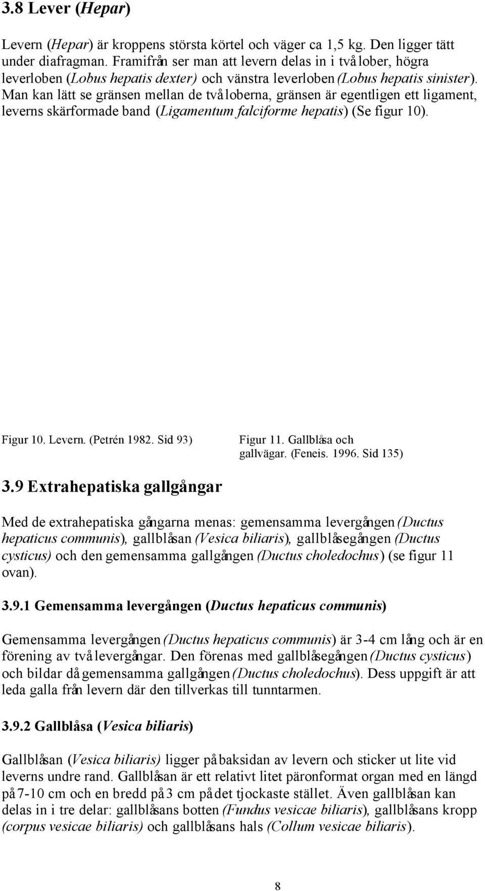 Man kan lätt se gränsen mellan de två loberna, gränsen är egentligen ett ligament, leverns skärformade band (Ligamentum falciforme hepatis) (Se figur 10). Figur 10. Levern. (Petrén 1982.