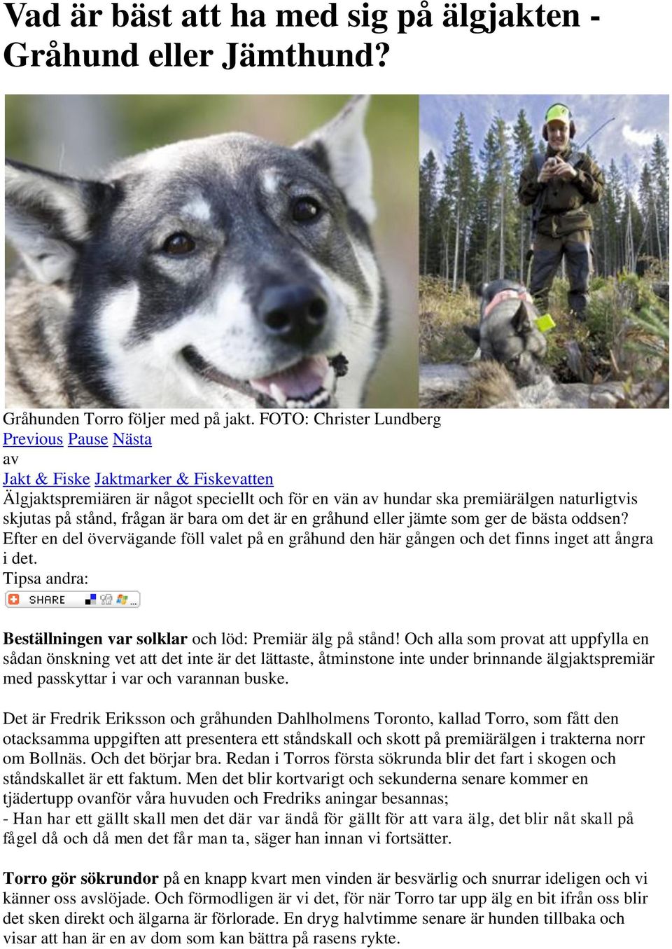 frågan är bara om det är en gråhund eller jämte som ger de bästa oddsen? Efter en del övervägande föll valet på en gråhund den här gången och det finns inget att ångra i det.